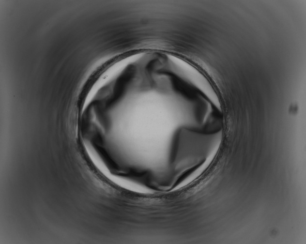 X0000101101123200807171905