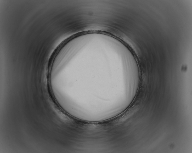 X0000101101124200807171905