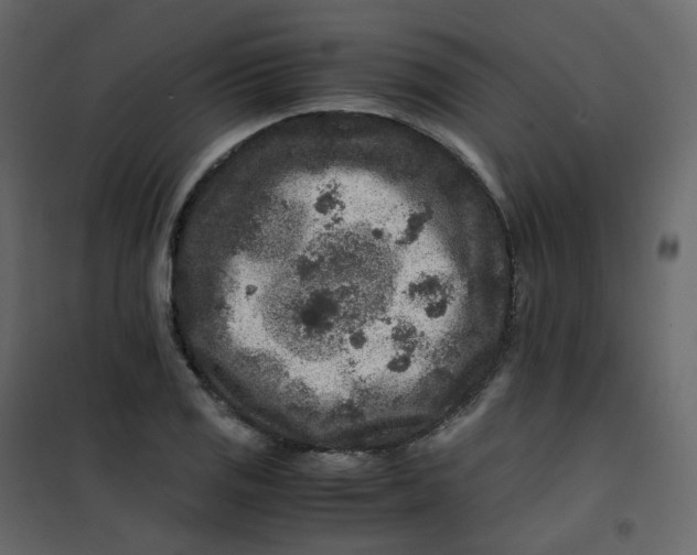 X0000101101125200807171905