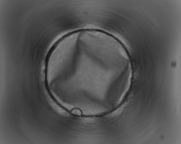 X0000101101126200807171905