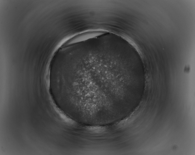 X0000101101127200807171905