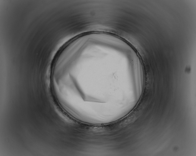 X0000101101128200807171905