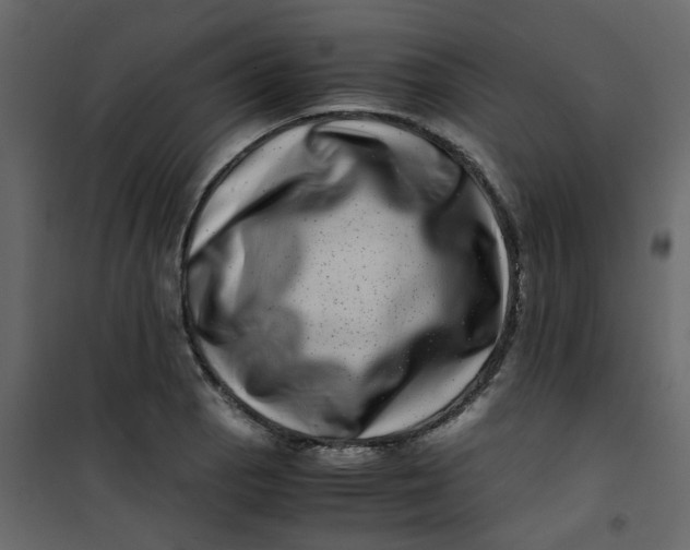 X0000101101129200807171905