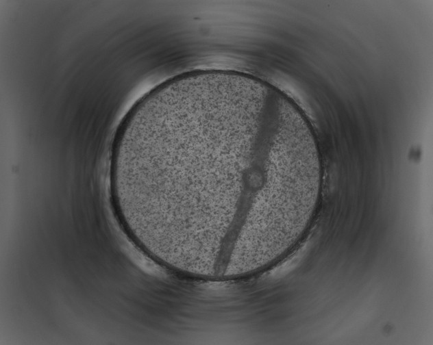 X0000101101130200807171905