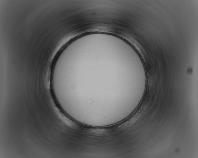 X0000101101131200807171905