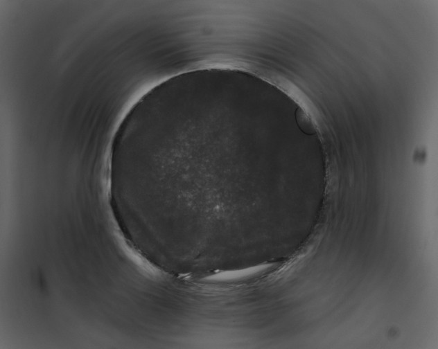 X0000101101132200807171906