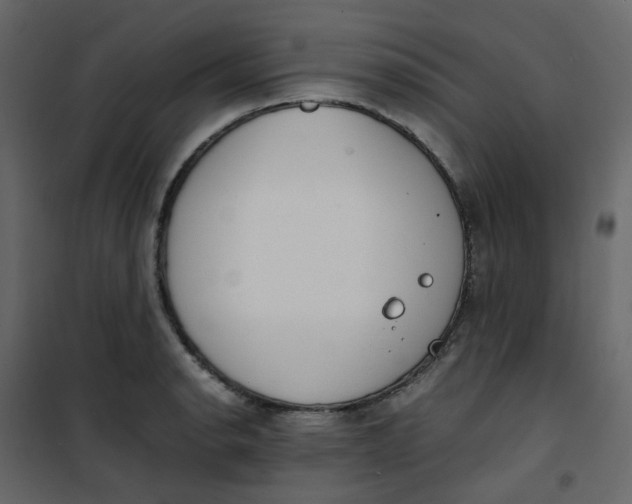 X0000101101134200807171906