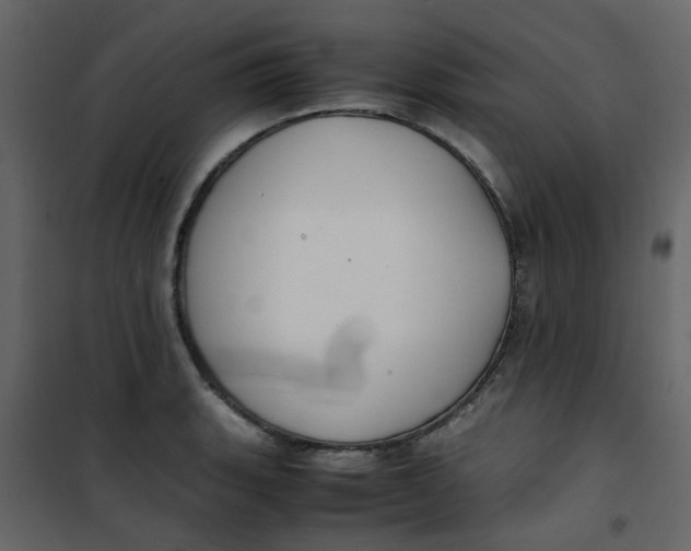 X0000101101135200807171906