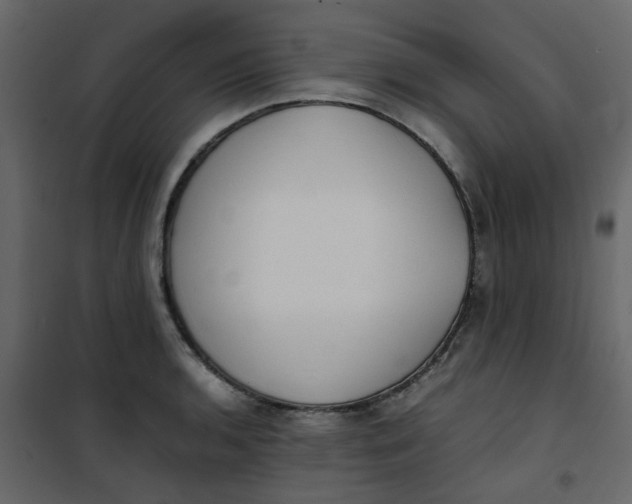 X0000101101136200807171906