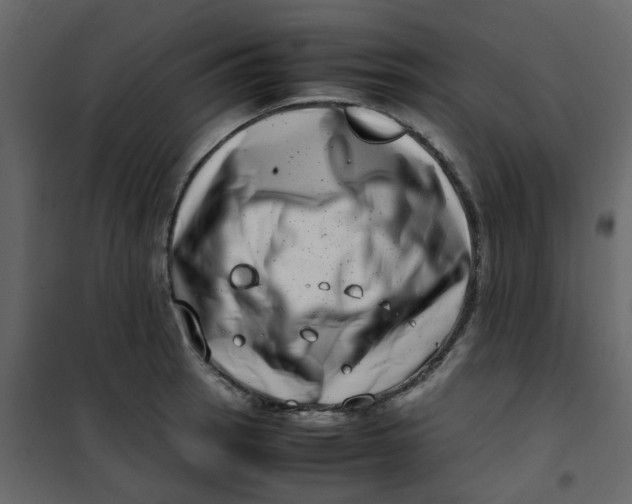 X0000101101137200807171906