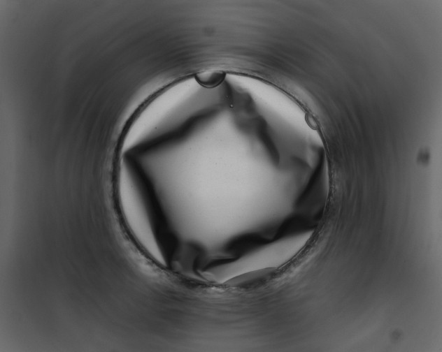 X0000101101138200807171906