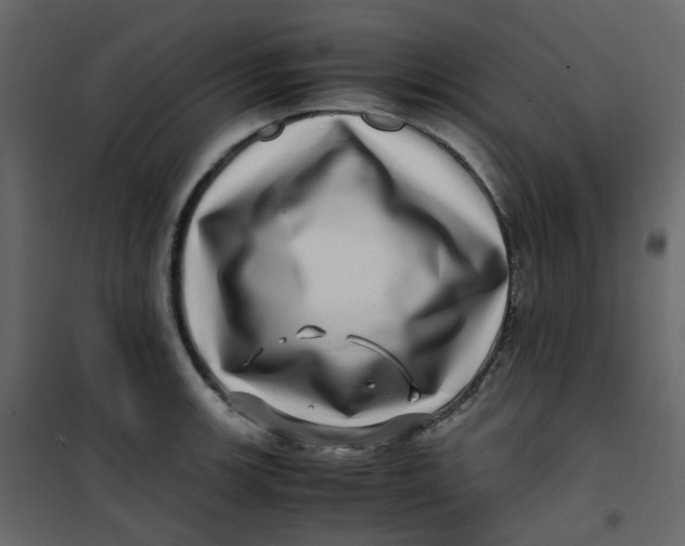 X0000101101139200807171906