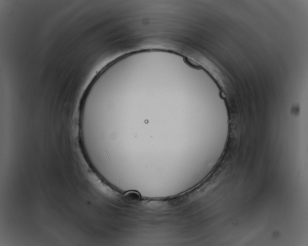 X0000101101140200807171906