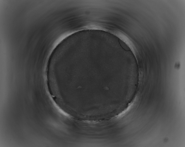 X0000101101141200807171906