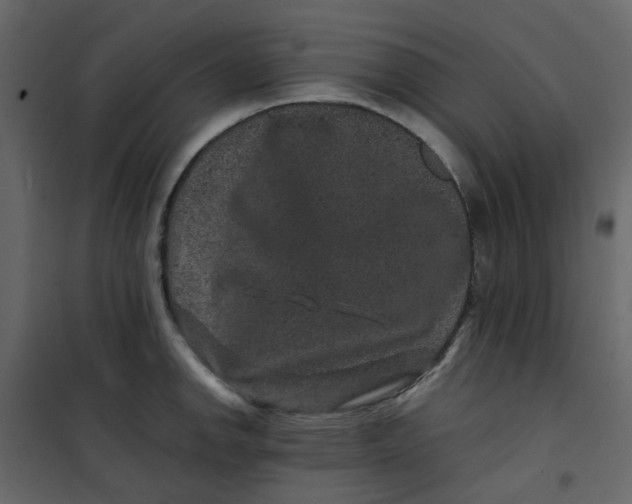 X0000101101142200807171906