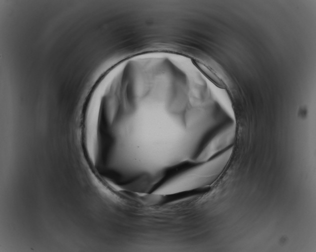 X0000101101143200807171906