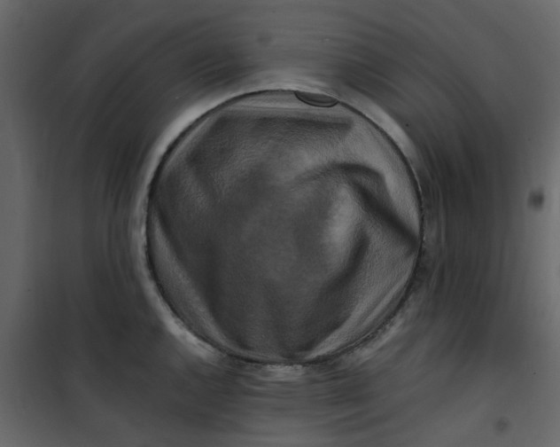 X0000101101144200807171906