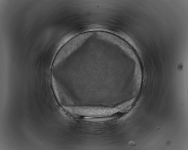 X0000101101145200807171906