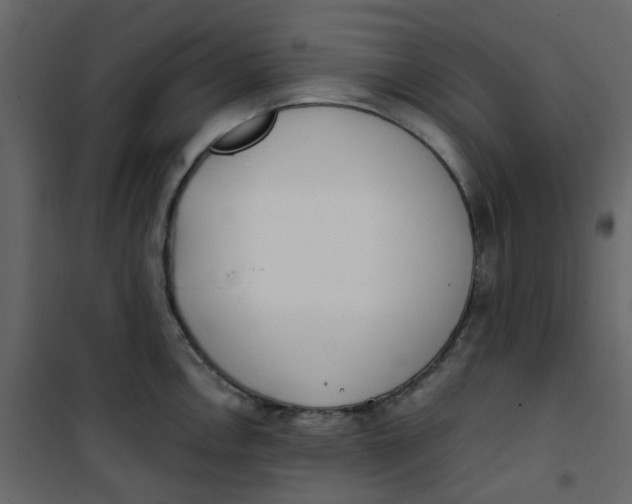 X0000101101146200807171906