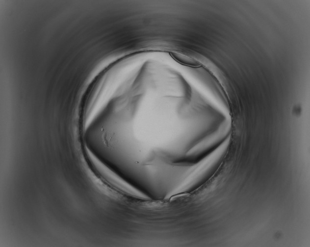 X0000101101147200807171906