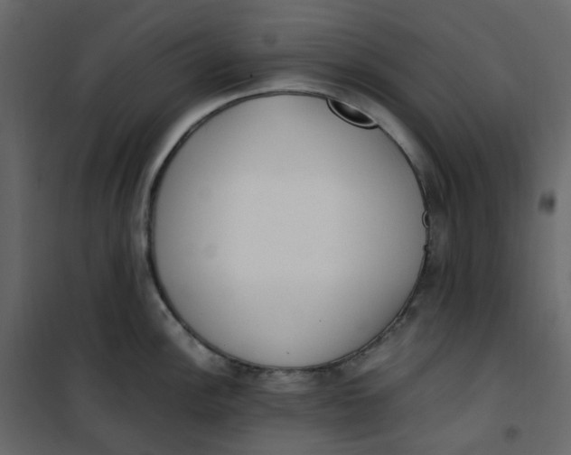 X0000101101148200807171906