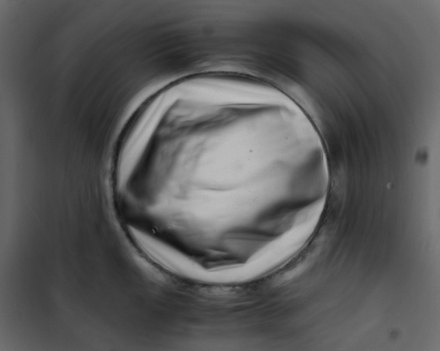 X0000101101149200807171906