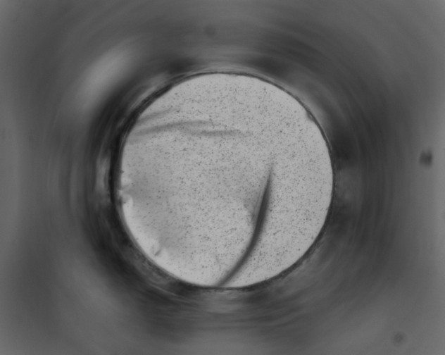 X0000101101150200807171906