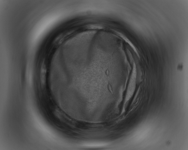 X0000101101151200807171906