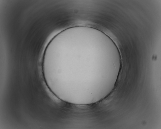 X0000101101152200807171906