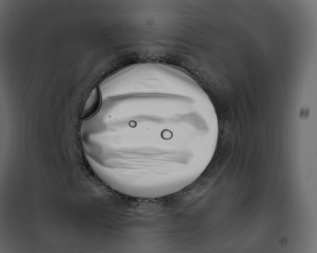 X0000101101153200807171905