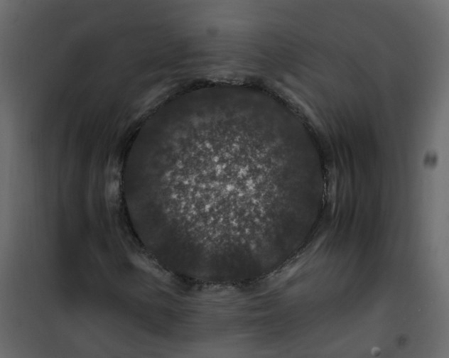 X0000101101154200807171905