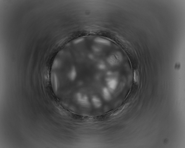 X0000101101155200807171905