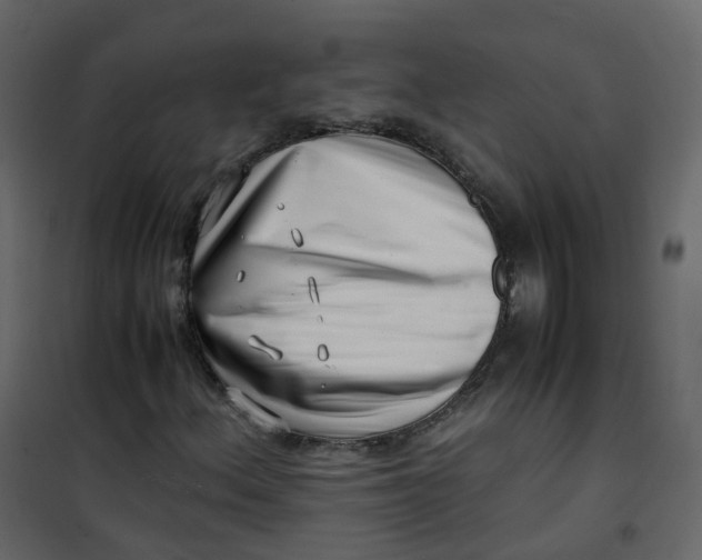 X0000101101156200807171905