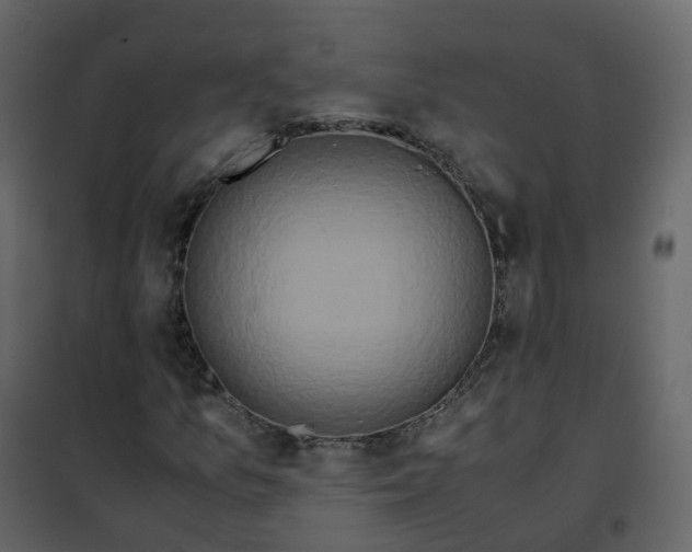 X0000101101157200807171905