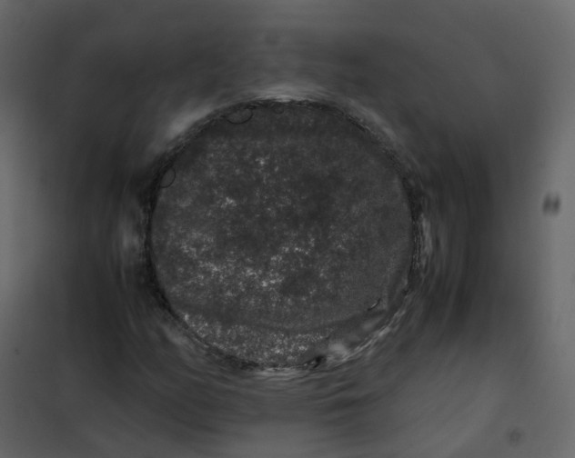 X0000101101158200807171905