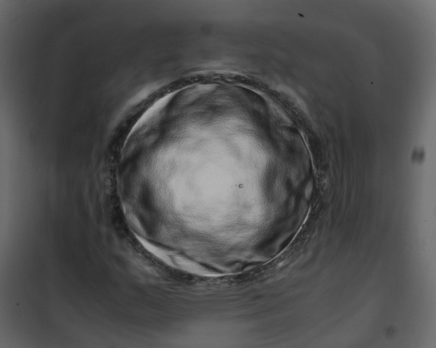 X0000101101159200807171905