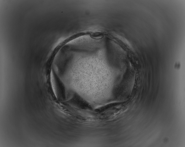 X0000101101160200807171905