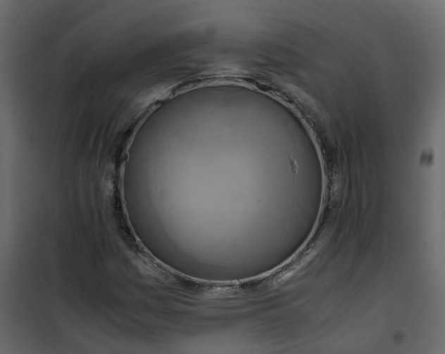 X0000101101161200807171905