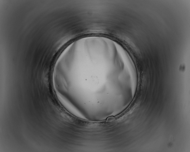 X0000101101162200807171905