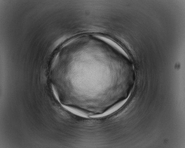 X0000101101163200807171905