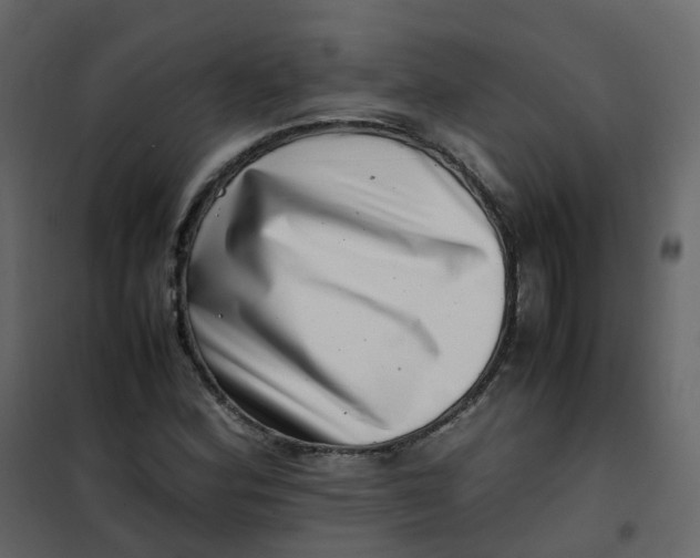 X0000101101164200807171905