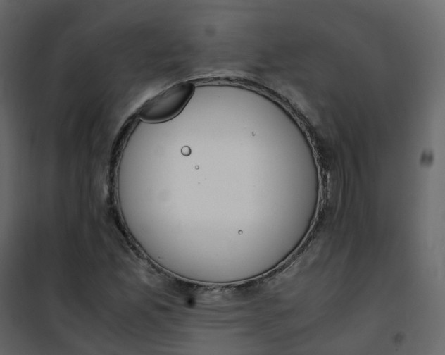 X0000101101165200807171905