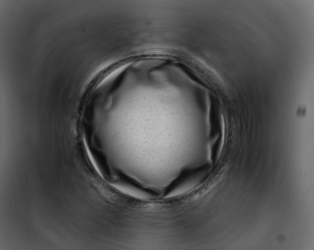 X0000101101166200807171905