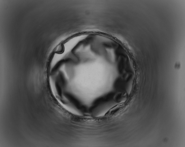 X0000101101167200807171905