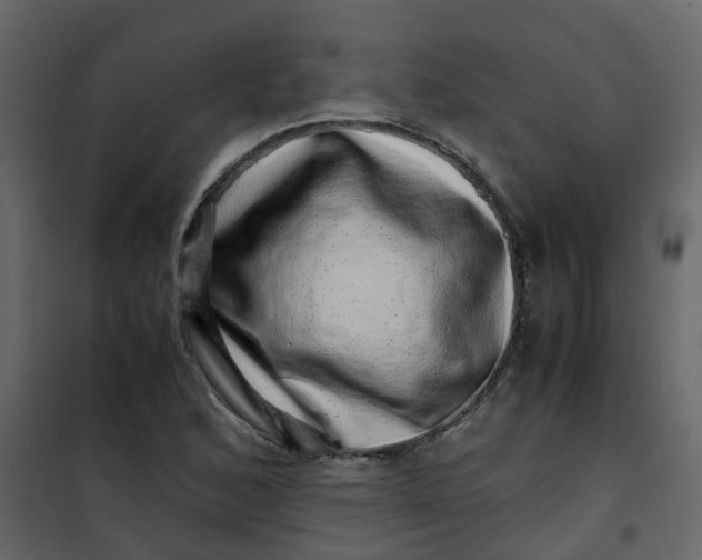 X0000101101168200807171905