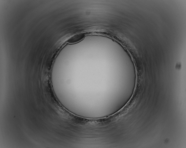 X0000101101169200807171905