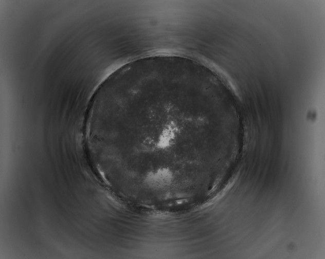 X0000101101170200807171905