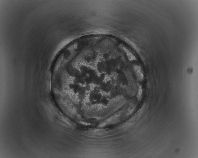 X0000101101171200807171905