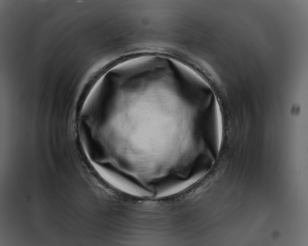 X0000101101172200807171905