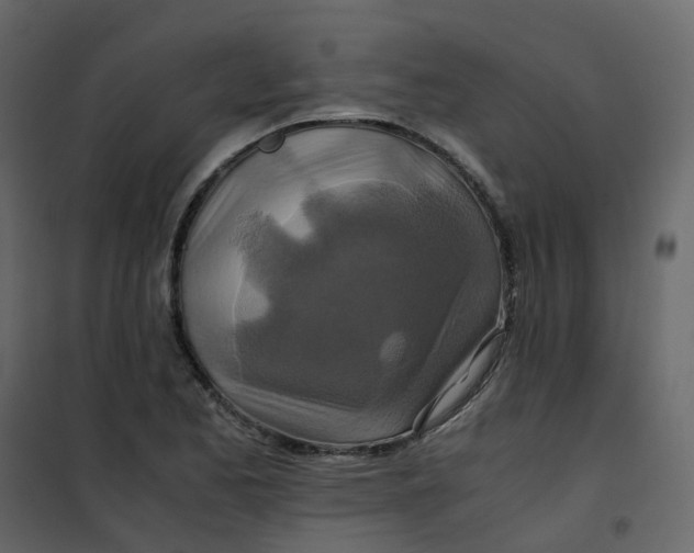 X0000101101173200807171905